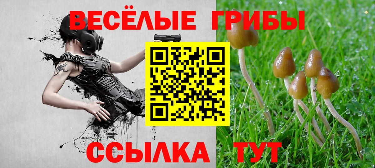 Псилоцибиновые грибы ЛСД Карачаевск