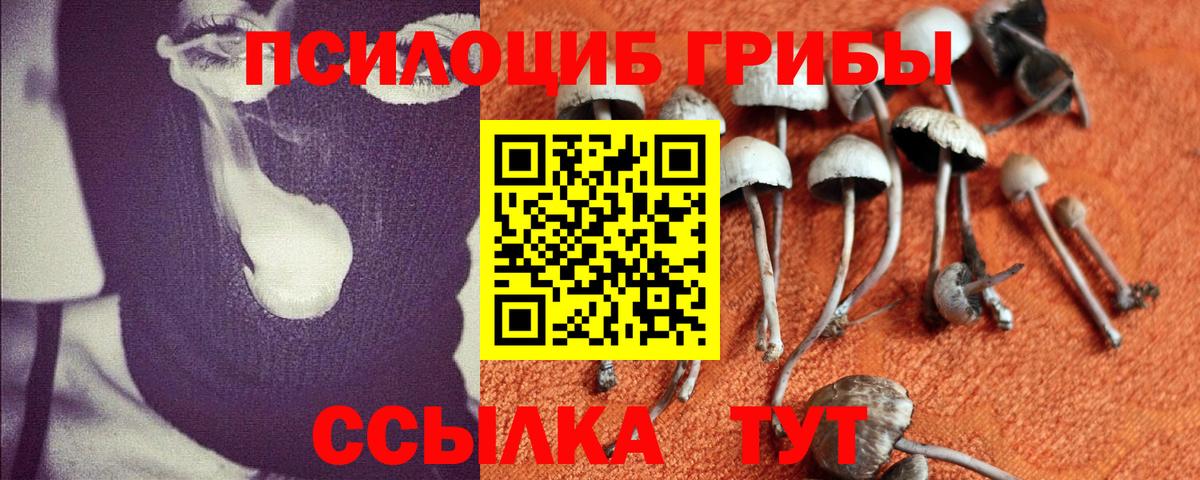 Галлюциногенные грибы ЛСД  Псилоцибиновые грибы мицелий  Карачаевск  Вход с VPN 